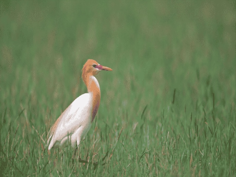 试管能生宝宝吗澳门医院做试管试管体检费用多少钱